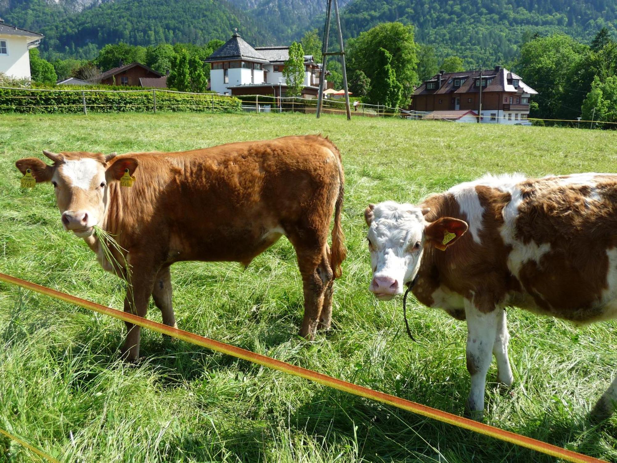 Kerschbaumergut Grossgmain Esterno foto